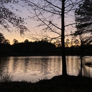 Meet your Posher, Carmen